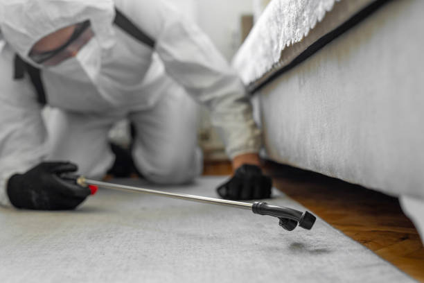 Professional Termite Control technician working in Lacon, IL