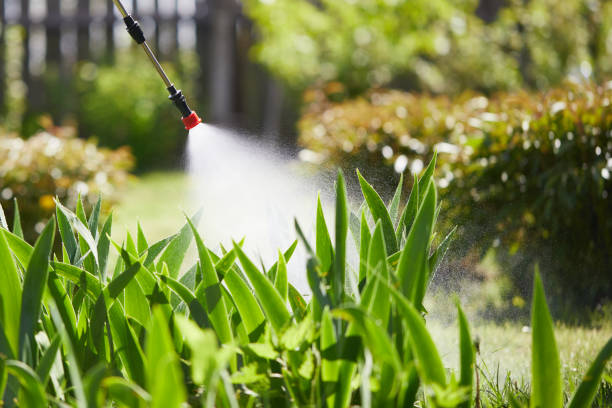 24/7 Emergency Termite Control experts in Lacon, IL