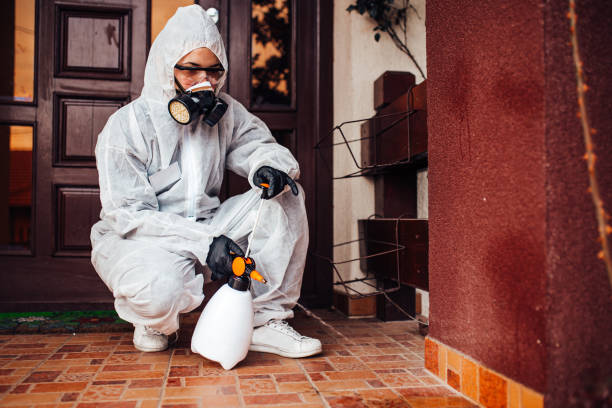 Reliable Termite Control contractor in Lacon, IL by Nex Pest Control